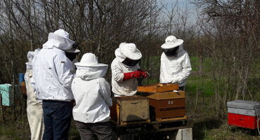 LA SECTION APICULTURE DE L’ECOMUSEE